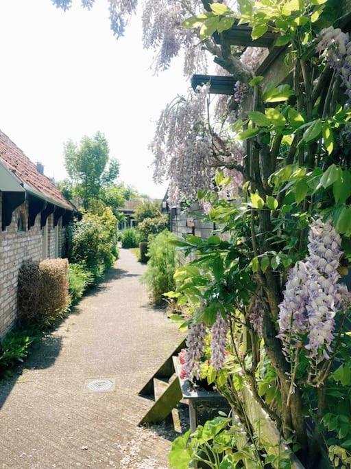 Uniek Vakantieverblijf Den Burg Luaran gambar
